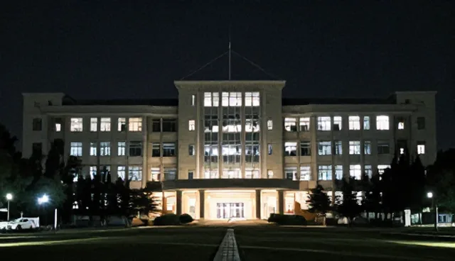广告策略适用条件检查要点及优化建议